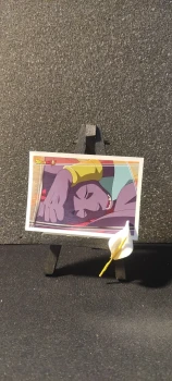 Stickers panini Dragon Ball, numéro : 78