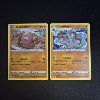 Cartes Pokemon : Famille Taupiqueur - Règne de Glace