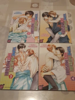 Lot yaoi - yume musubi koi musubi - tomes 1 à 4