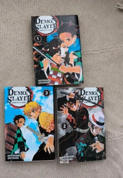 Demon slayer tome 1.2.3
