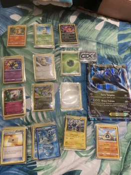 Carte Pokémon, 257