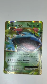 Venusaur EX / Holographique
