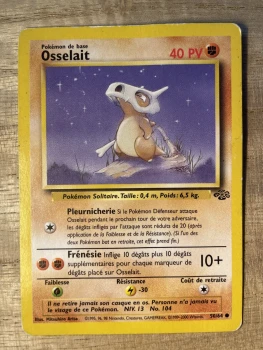 Carte Pokémon osselait