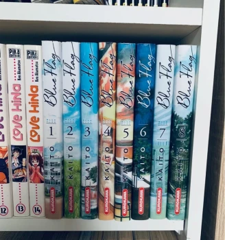 Manga integrale blue flag 8 tomes