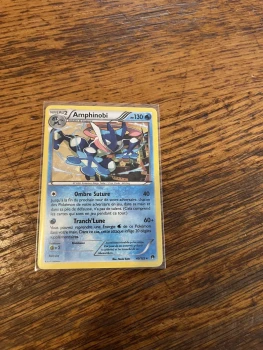 Cartes Pokémon Amphinobi