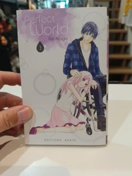 Perfect world tome 3