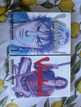 Vagabond 1 et 2
