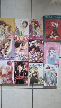 Lot de mangas shojo/josei