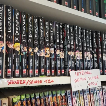 Intégral Demon Slayer