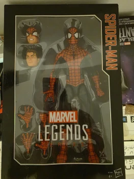 Marvel Legends Series Spider-Man (Hasbro
