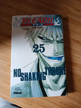 Bleach tome 25