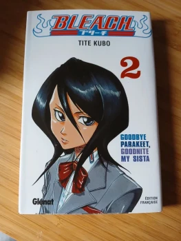 Bleach tome 2