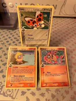 Carte Pokémon île des dragons