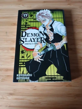 Demon slayer tome 17