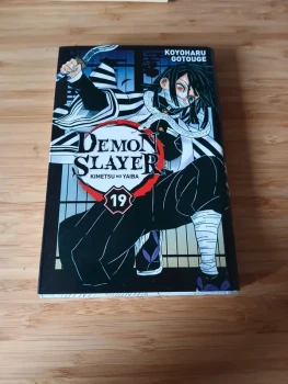 Demon slayer tome 19