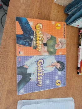 Manga galism