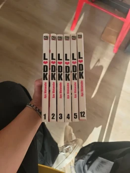 Manga L DK