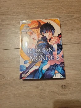 Manga réincarné dans un autre monde