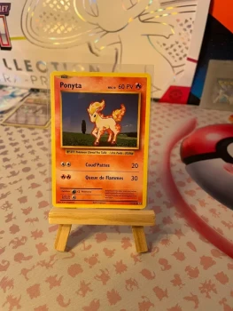 Ponyta xy évolution