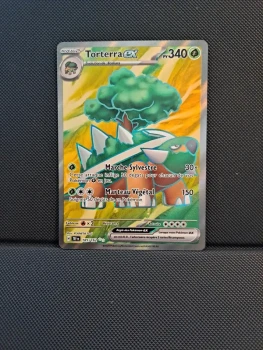 Torterra Ex 185/162